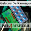 Karmagra Jelly new03